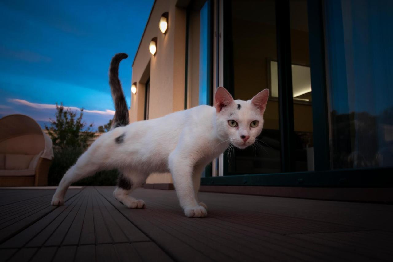 Sea Cats' Villas スティヴァン エクステリア 写真